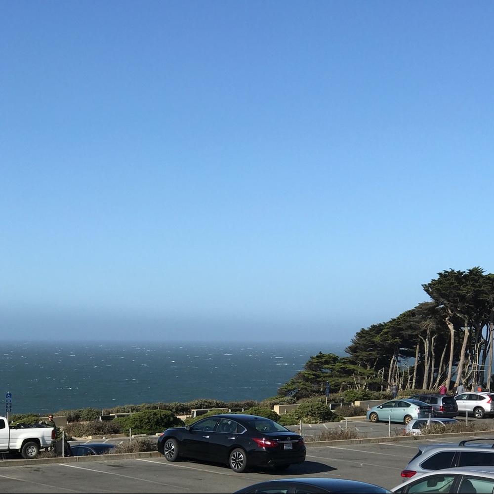 Meet your Posher, Tasha